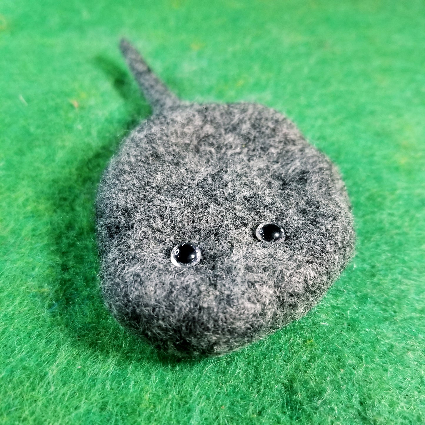 CLEARANCE Pietro the Pet Rock