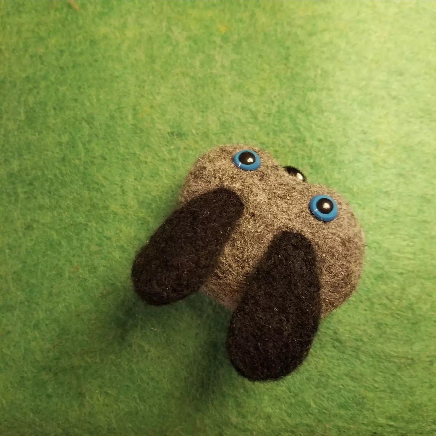 CLEARANCE Orpheus the Pet Rock