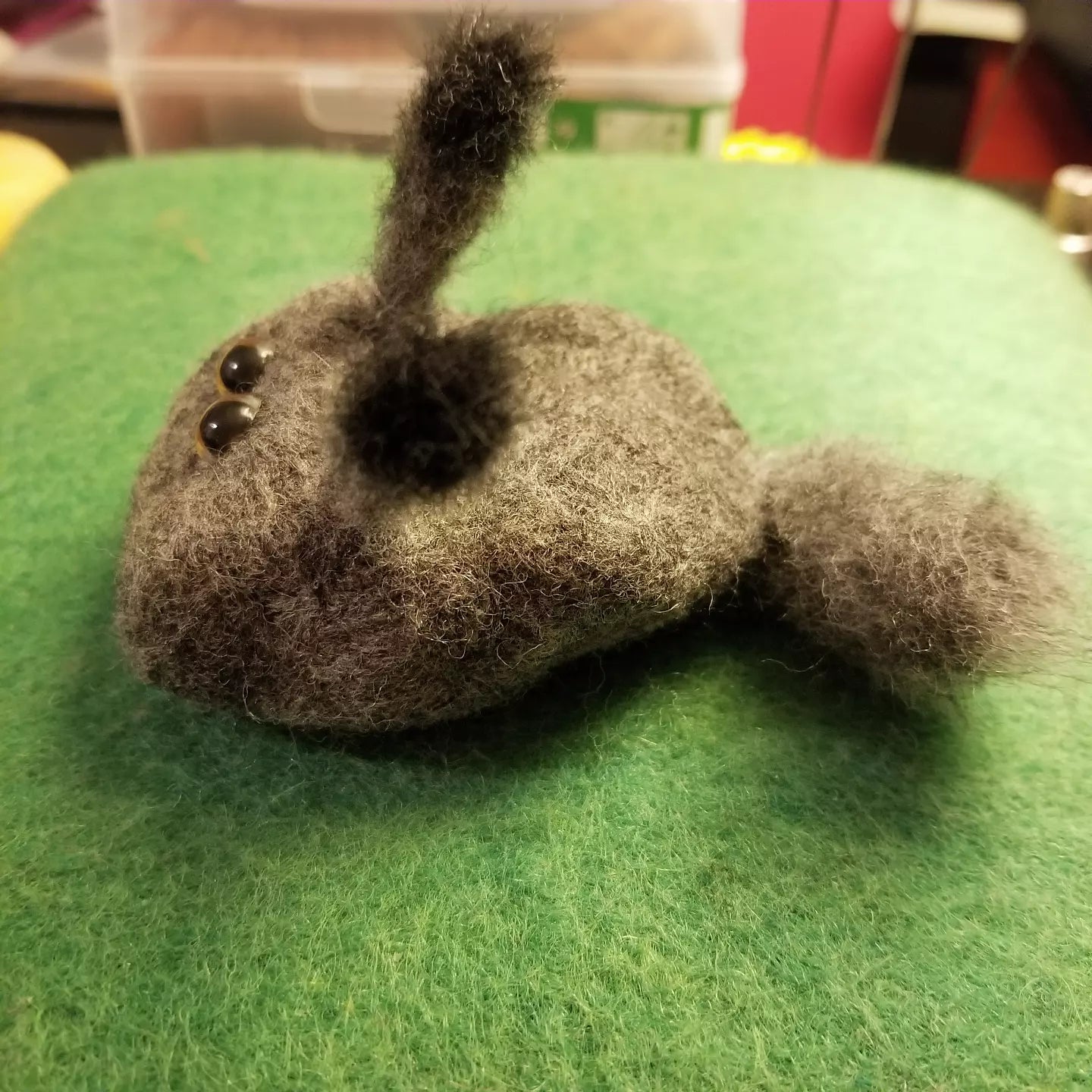 CLEARANCE Leopold the Pet Rock