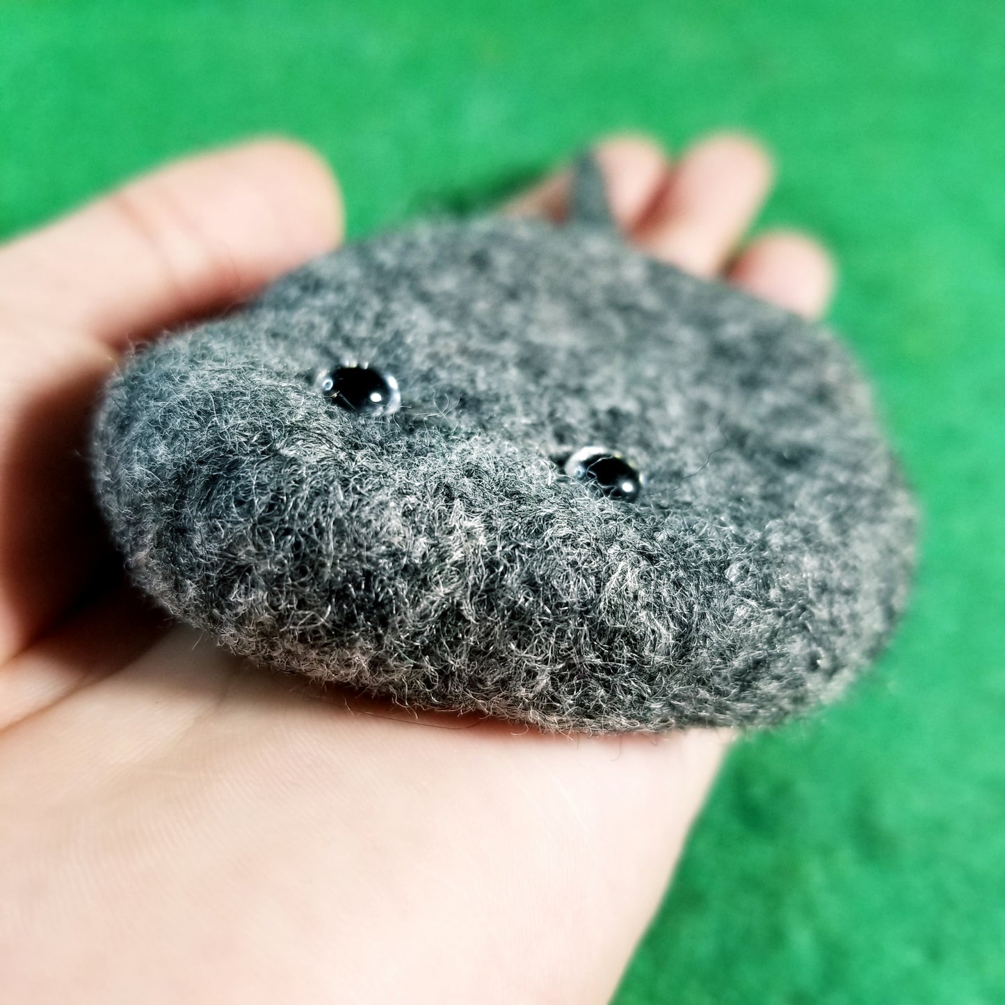 CLEARANCE Pietro the Pet Rock