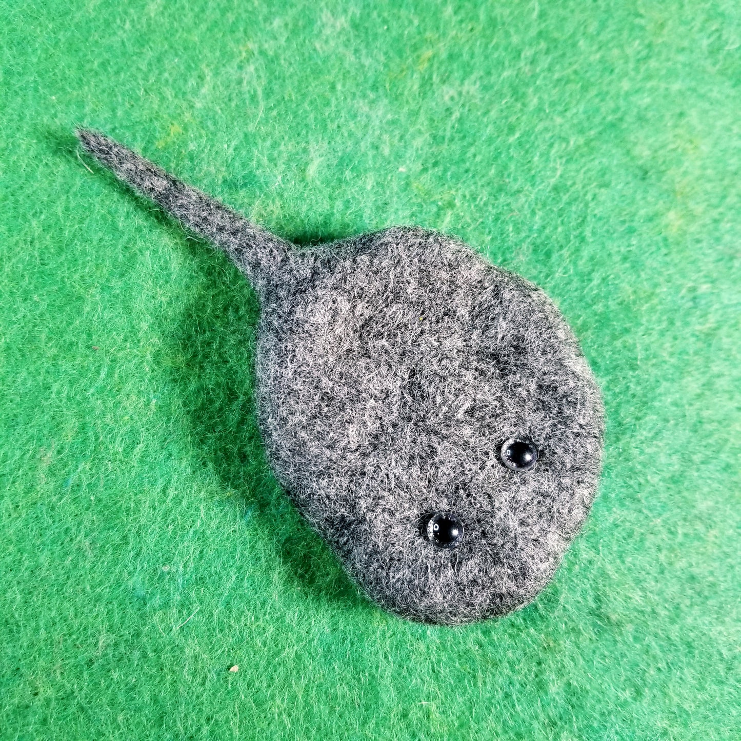 CLEARANCE Pietro the Pet Rock