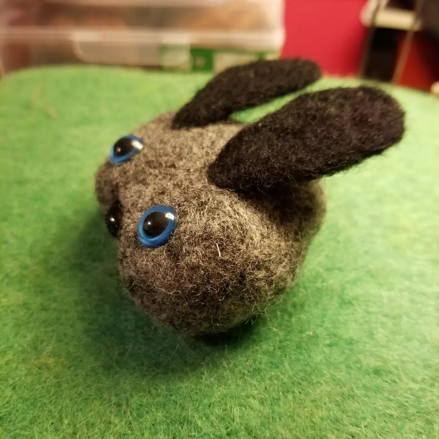 CLEARANCE Orpheus the Pet Rock