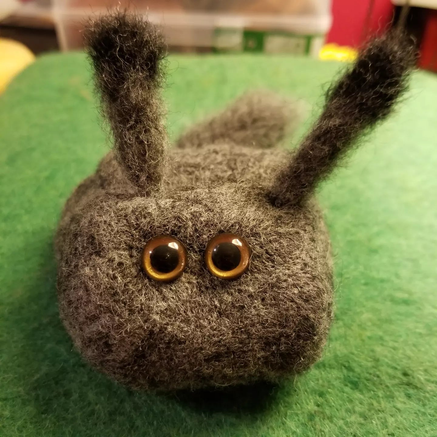 CLEARANCE Leopold the Pet Rock