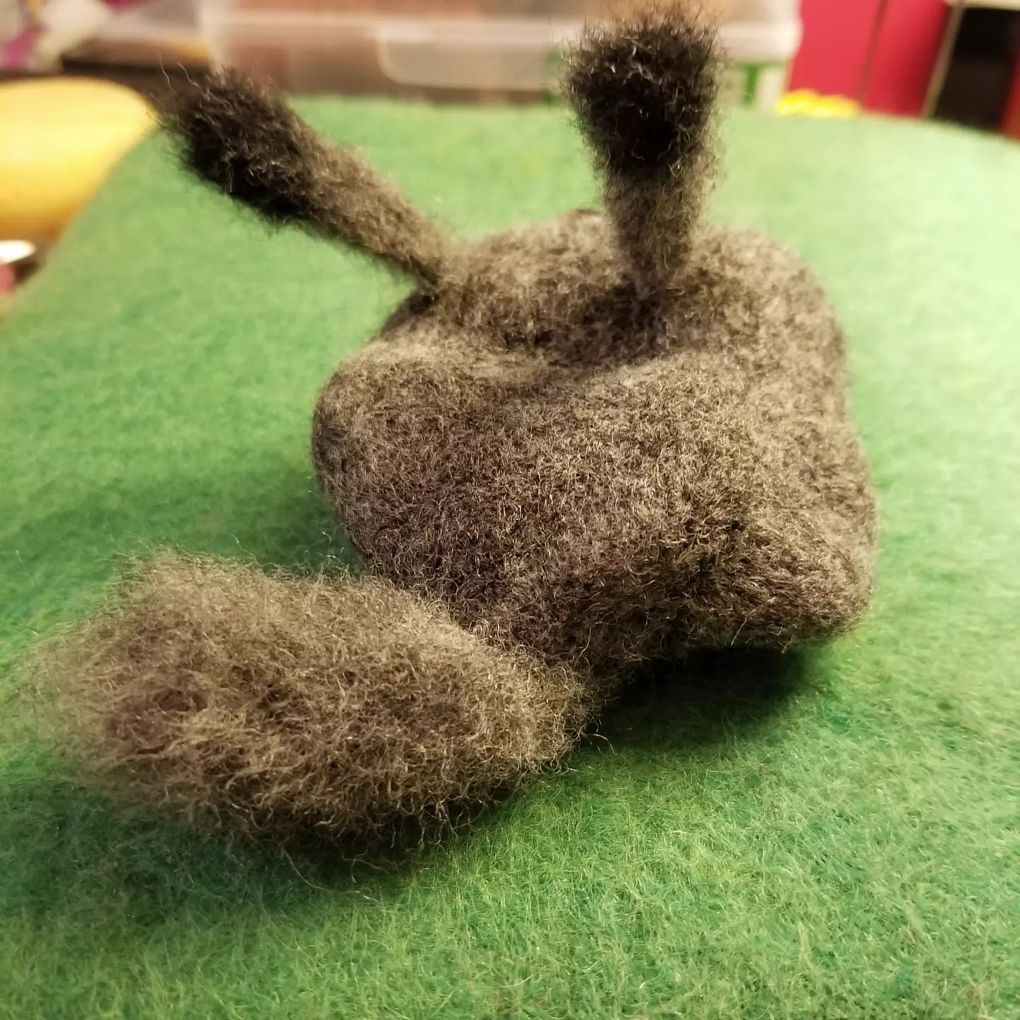 CLEARANCE Leopold the Pet Rock